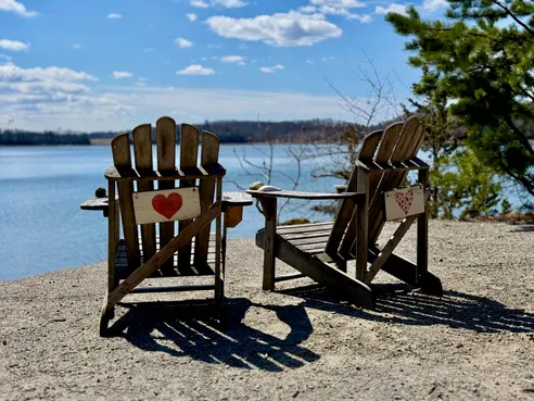 Bare Cove Park chairs